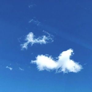 Meet your Posher, Jane